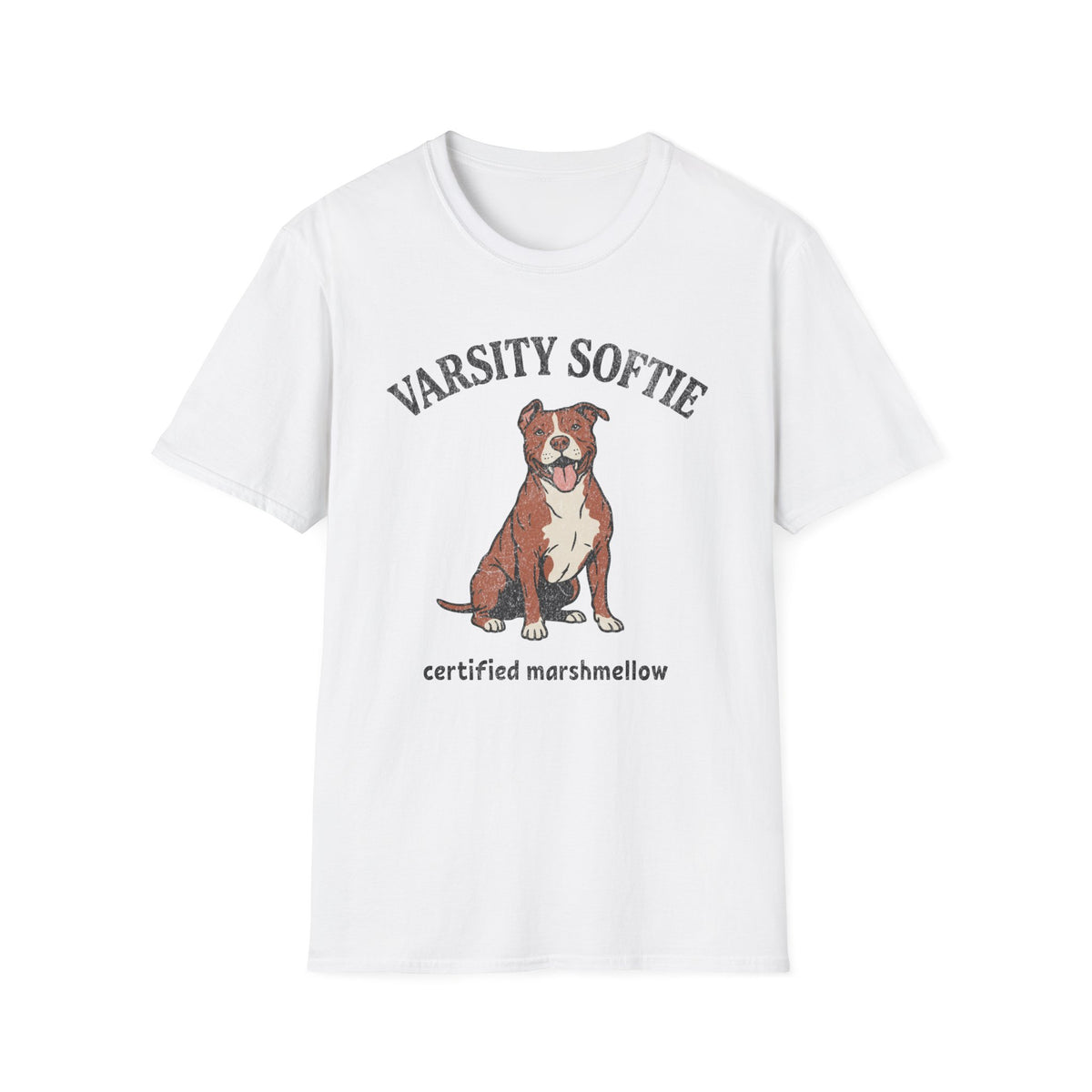 Varsity Softie T-shirt