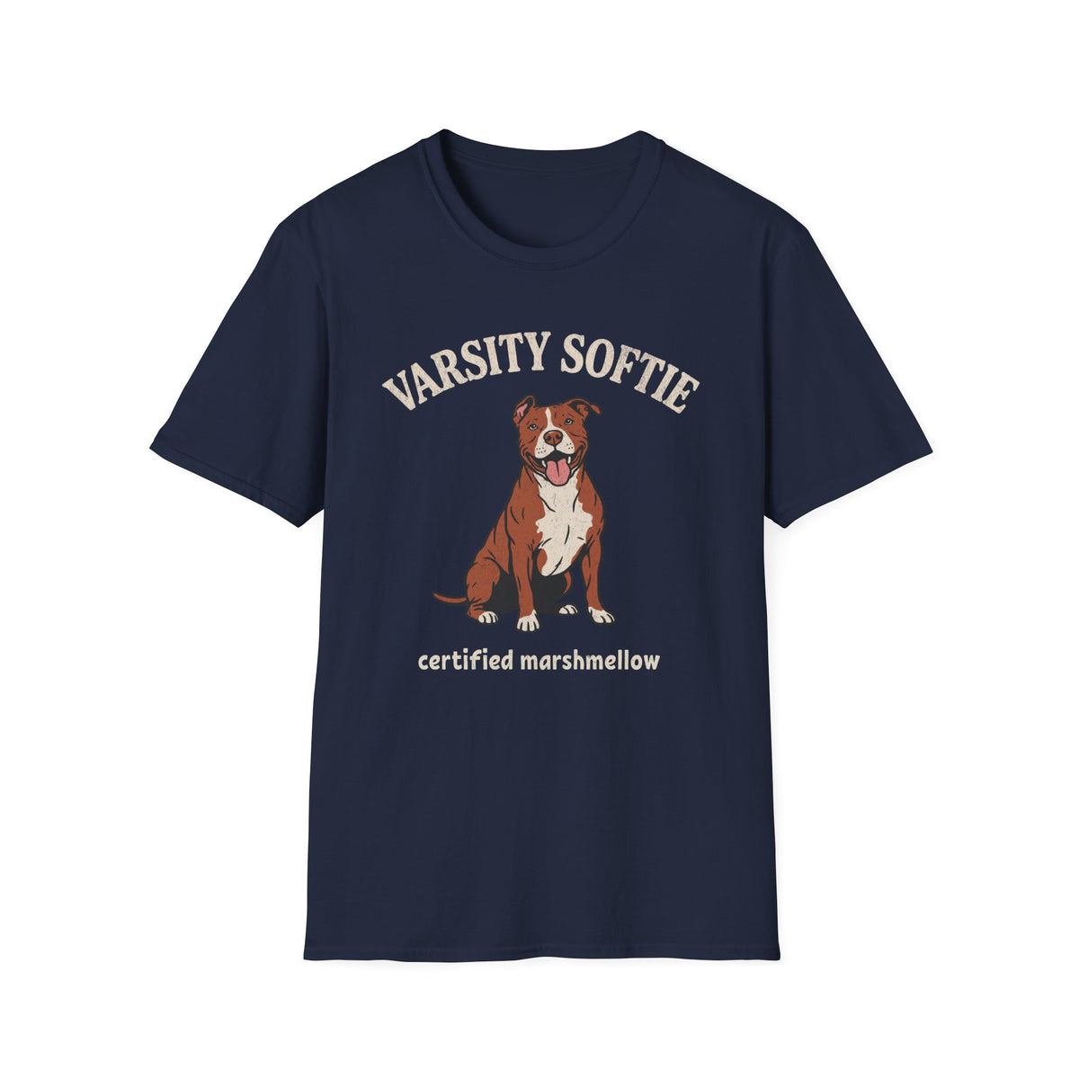 Varsity Softie T-shirt