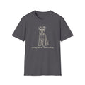 Nothing Fazes Me, Literally Nothing T-shirt