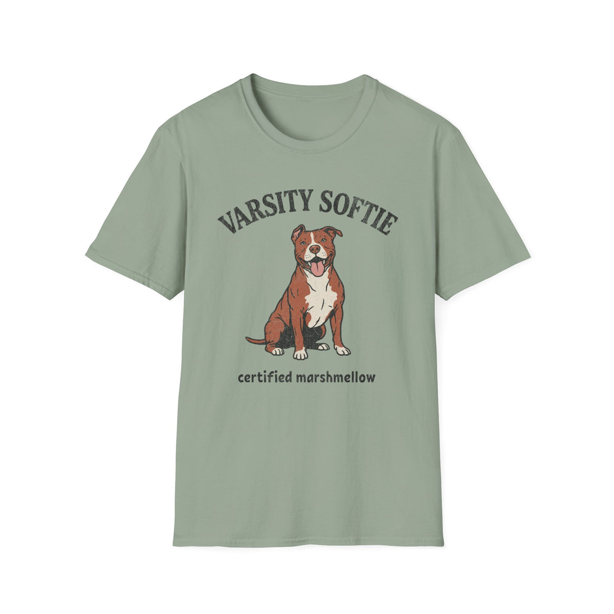 Varsity Softie T-shirt