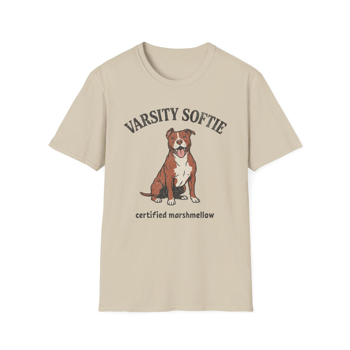 Varsity Softie T-shirt