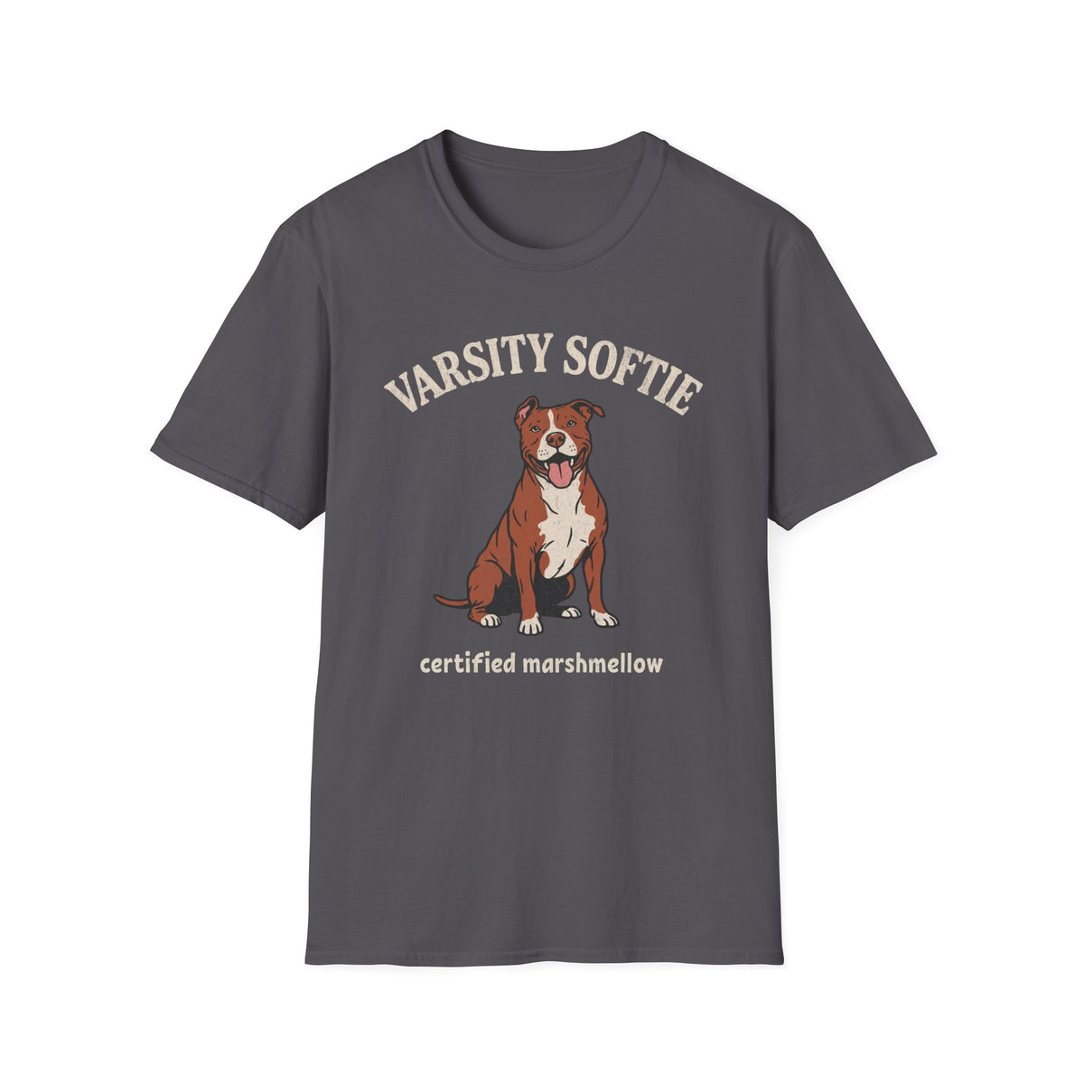 Varsity Softie T-shirt