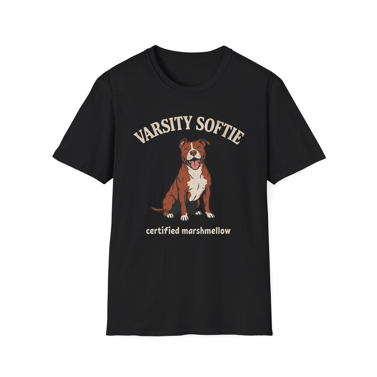 Varsity Softie T-shirt